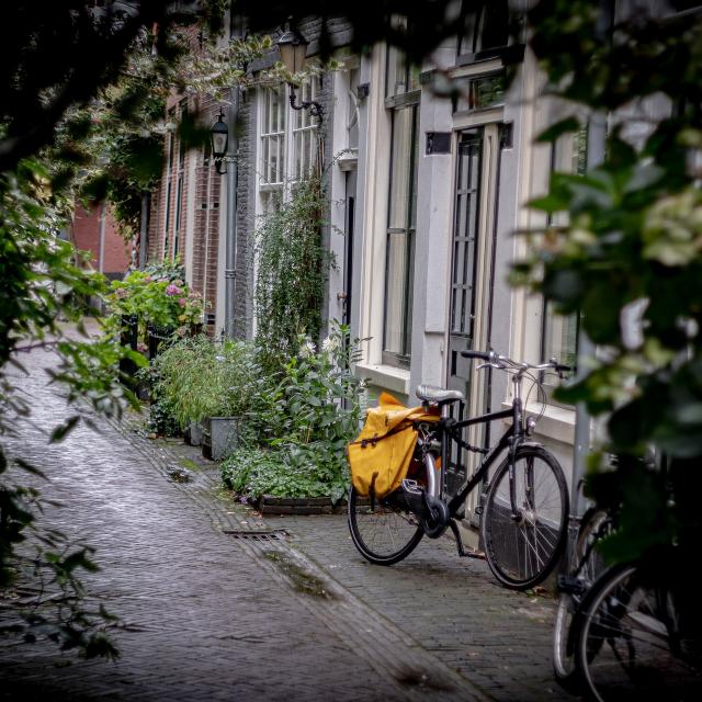 balade à vélo en ville