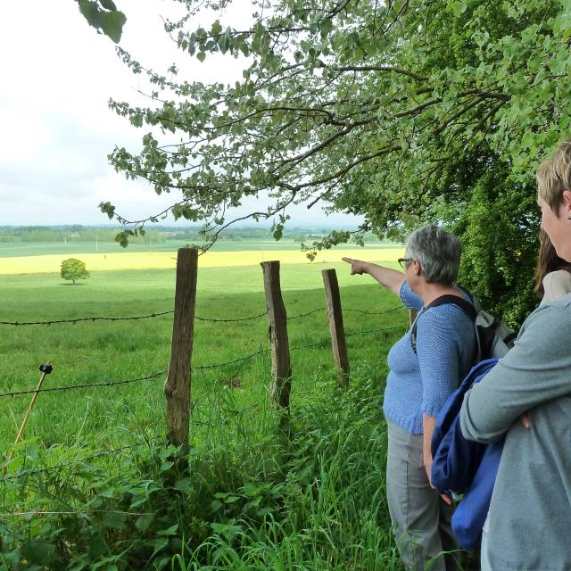 Visite Greeters - Mme Sourdille