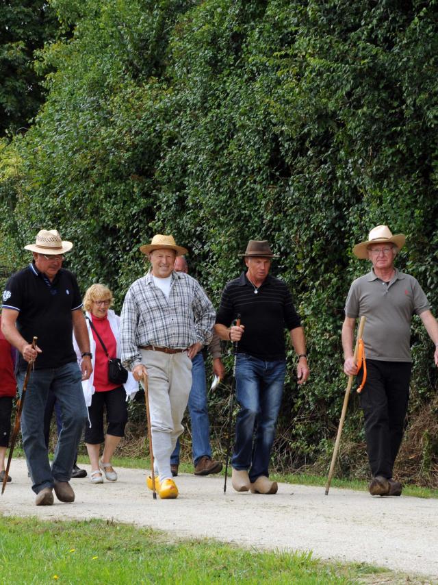 Randonneurs sur la Voie Verte
