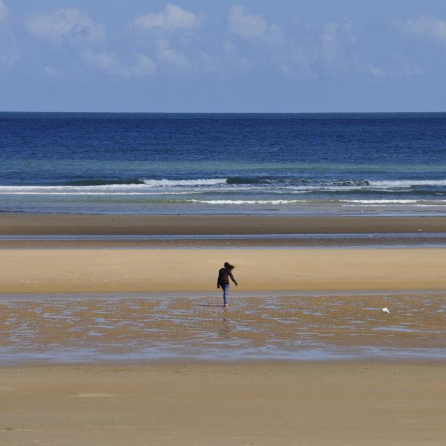 beach-2980012-1920.jpg