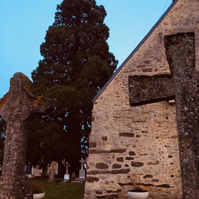Instagram #mainesaosnois