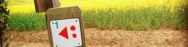 Instagram #mainesaosnois