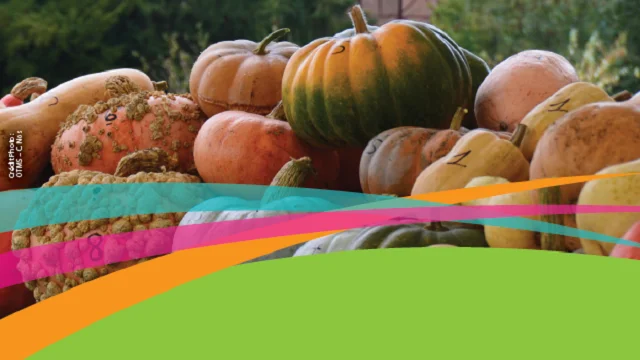 Couv 4eme Trim Bouger Sortir