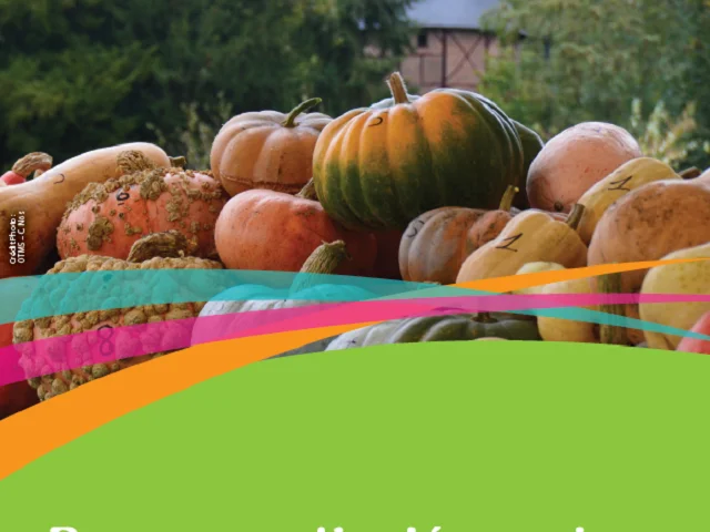 Couv 4eme Trim Bouger Sortir