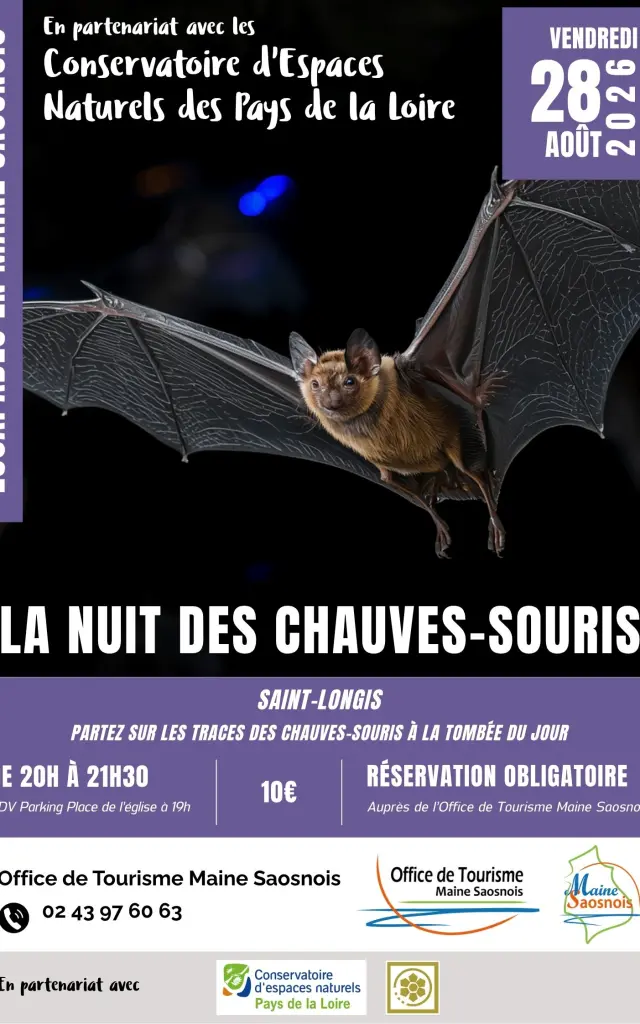 Ems2026 Aff Chauve Souris