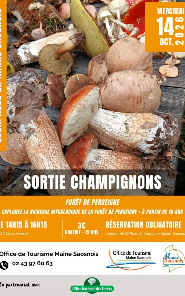 Ems2026 Aff Sortie Champignons